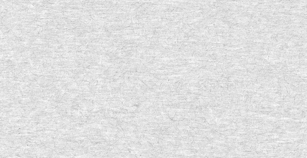 ASTER GRIS CLAIR