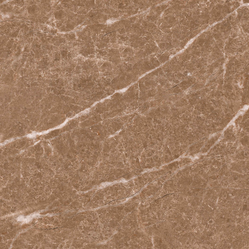 MODERNA MARRON