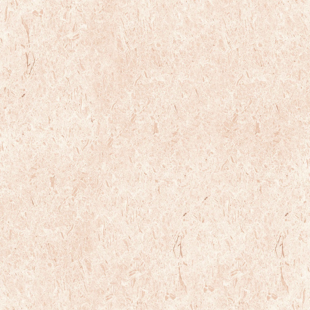 LIEGE BEIGE