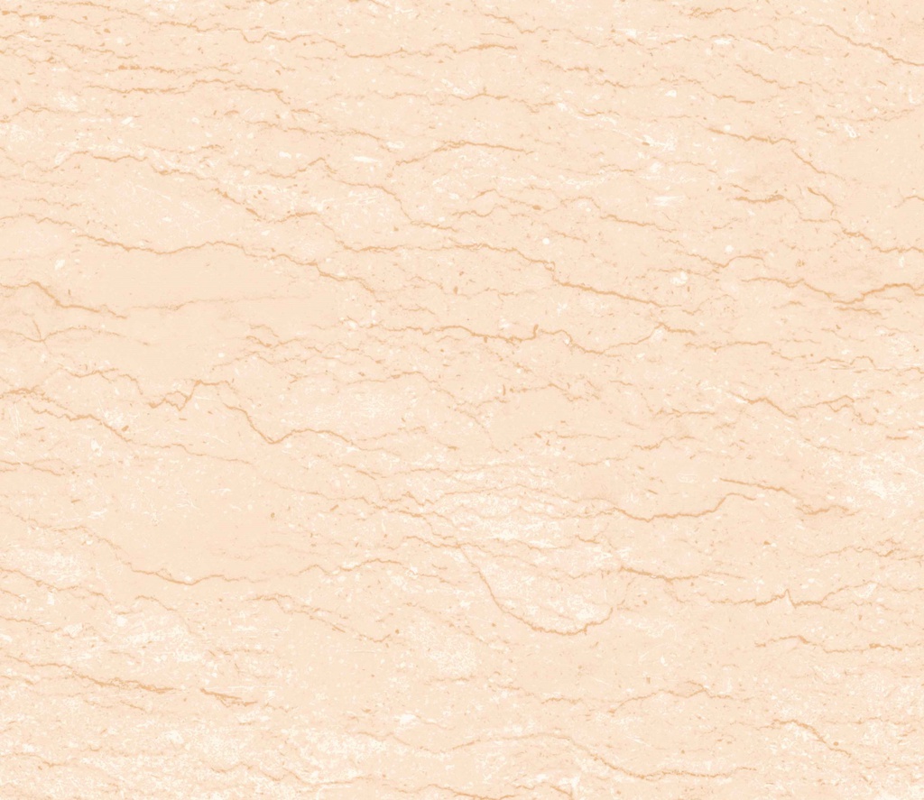 OLIMPUS