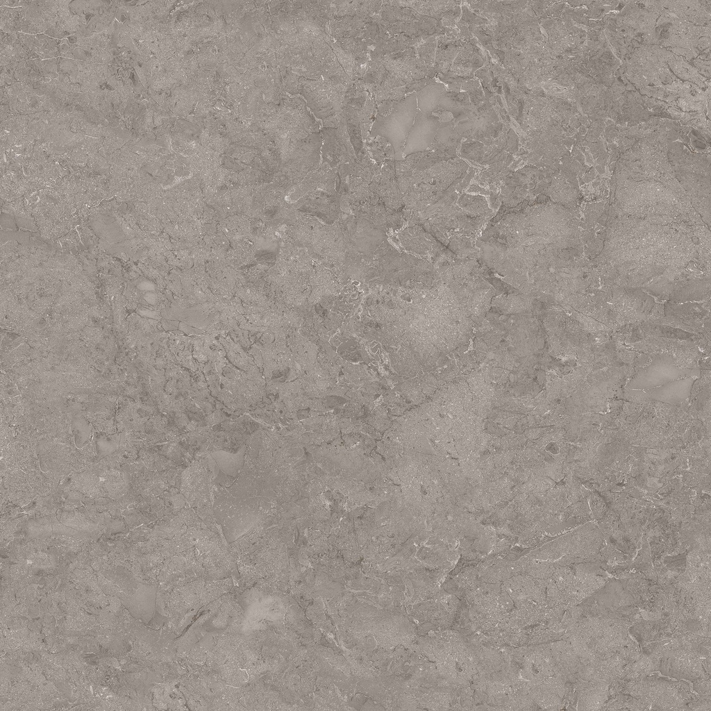 ADRAR GRIS 45